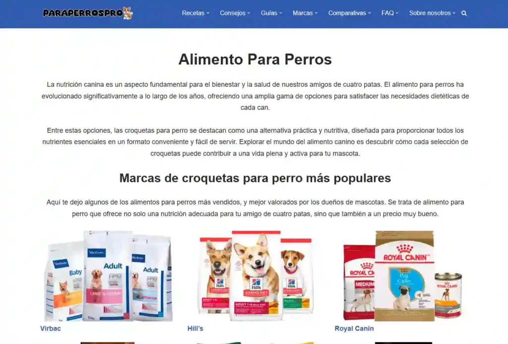 Agencia de Diseño Web